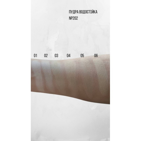 Пудра водостійка Neverti NP202
